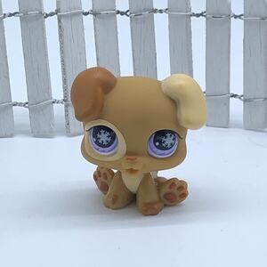 Littlest Pet Shop 760 Brown Boxer Puppy Dog Purple Snowflake Eyes